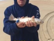 TW’s Bait & Tackle, Daily Fishing Report