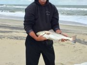 TW’s Bait & Tackle, Daily Fishing Report