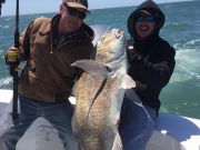 TW’s Bait & Tackle, Daily Fishing Report