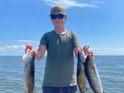 TW’s Bait & Tackle, TW's Daily Fishing Report