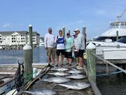 Pirate's Cove Marina, Saturday Blues
