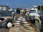 Pirate's Cove Marina, Sunday Funday!