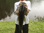 TW’s Bait & Tackle, Daily Fishing Report