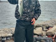 TW’s Bait & Tackle, TW's Daily Fishing Report