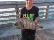 TW’s Bait & Tackle, Daily Fishing Report