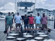 Pirate's Cove Marina, Tuna and Tiles!