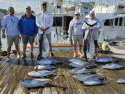 Pirate's Cove Marina, Mixed Bag