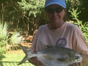 TW’s Bait & Tackle, Daily Fishing Report