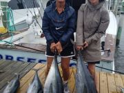 TW’s Bait & Tackle, Daily Fishing Report