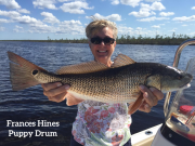 TW’s Bait & Tackle, TW’s Daily Fishing Report