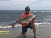 TW’s Bait & Tackle, Daily Fiishing Report