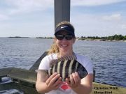 TW’s Bait & Tackle, Daily Fishing Report