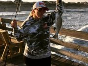 TW’s Bait & Tackle, Daily Fishing Report