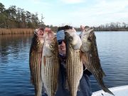 TW’s Bait & Tackle, Daily Fishing Report