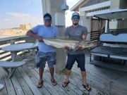 Juan and Jose Martinez of Manteo, NC landed this 47.5 pound cobia on August 1, 2023