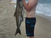 TW’s Bait & Tackle, Daily fishing Report