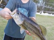 TW’s Bait & Tackle, Daily Fishing Report