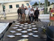 Pirate's Cove Marina, Salty Saturday!