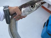 Miss Oregon Inlet II Head Boat Fishing, Great breeze!