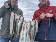 TW’s Bait & Tackle, Daily Fishing Report