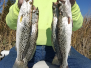 TW’s Bait & Tackle, Daily Fishing Report