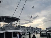 Pirate's Cove Marina, Tight Lines Tuesday!
