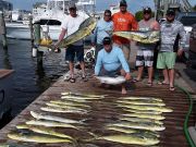 Pirate's Cove Marina, Would you look at the size of that!