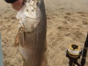 TW’s Bait & Tackle, Daily Fishing Report