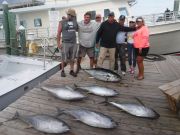 Pirate's Cove Marina, 105 pound Yellowfin!