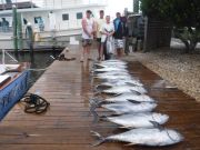 Pirate's Cove Marina, Awesome June Fishing