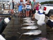 Pirate's Cove Marina, Meatfish Slam!