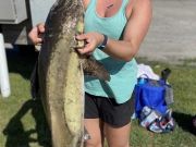 TW’s Bait & Tackle, TW's Daily Fishing Report