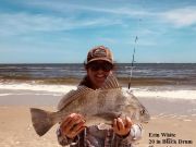 TW’s Bait & Tackle, Daily Fishing Report