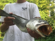 TW’s Bait & Tackle, TW’s Daily Fishing Report