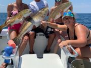 Pirate's Cove Marina, You Want the Gills, We Got the Skills!