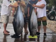 Pirate's Cove Marina, The Fish are a Brewin...