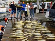 Pirate's Cove Marina, Fish On...