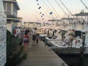 Pirate's Cove Marina, White Marlin, Tuna, Mahi OH MY!