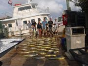 Pirate's Cove Marina, Marlin, Mahi and Tuna. OH MY!