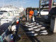 Pirate's Cove Marina, Tuna and Wahoo at Pirate's Cove