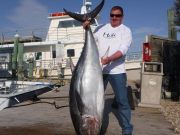 Pirate's Cove Marina, TUNA TIME