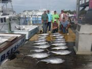 Pirate's Cove Marina, Awesome Yellowfin Fishing!