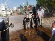 Pirate's Cove Marina, Yellowfin and Mahi Mahi