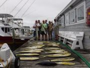 Pirate's Cove Marina, Mahi Madness