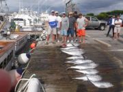 Pirate's Cove Marina, Docked early! TUNAS!