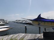 Pirate's Cove Marina, High Winds and High Seas Inhibiting Fishing