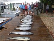 Pirate's Cove Marina, Tuna Tuna Tuna!