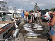 Pirate's Cove Marina, Welcome SUMMER!