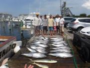 Pirate's Cove Marina, Lots of Meatfish