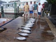 Pirate's Cove Marina, Tuna and Mackerel